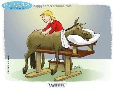 A cartoon of a horse getting massaged