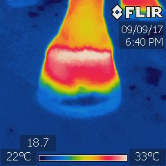 A thermography image of a hoof