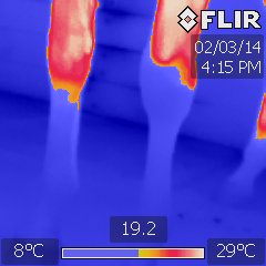A thermography image of the blood flow in a horses legs